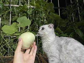 👑䒕暖宝好运旺旺旺主播照片