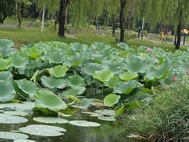 赵德彪主播照片