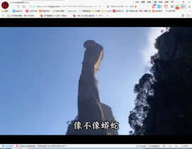 保利哥主播照片
