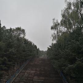 ▄︻┻┳━•主播照片
