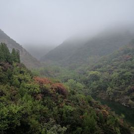 ▄︻┻┳━•主播照片
