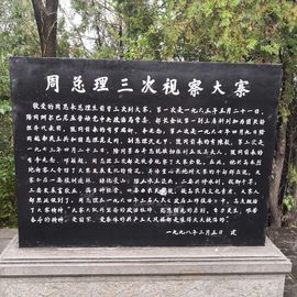 ▄︻┻┳━•主播照片