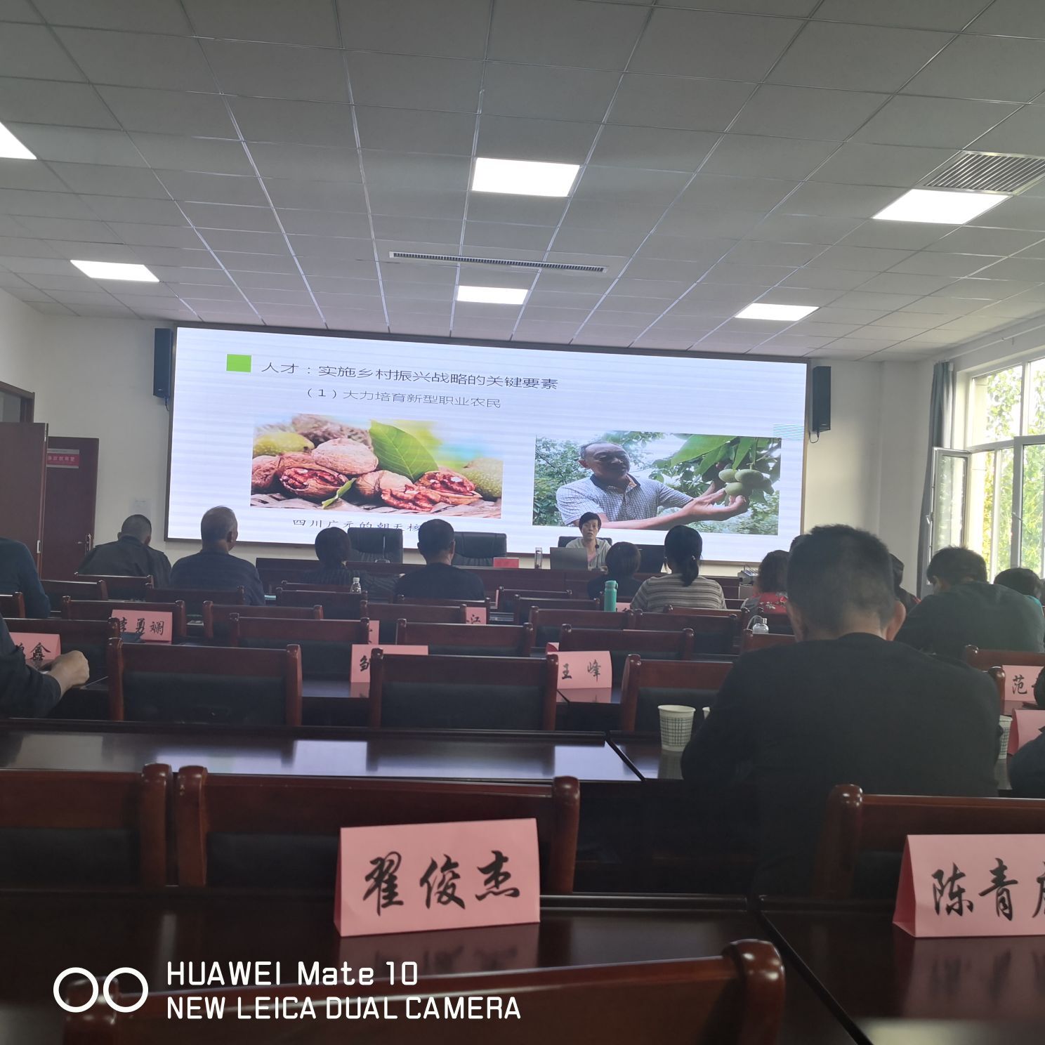 ▄︻┻┳━•的图片