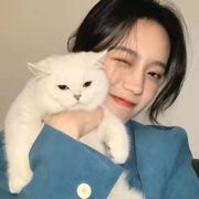 新人云烟求守护吖