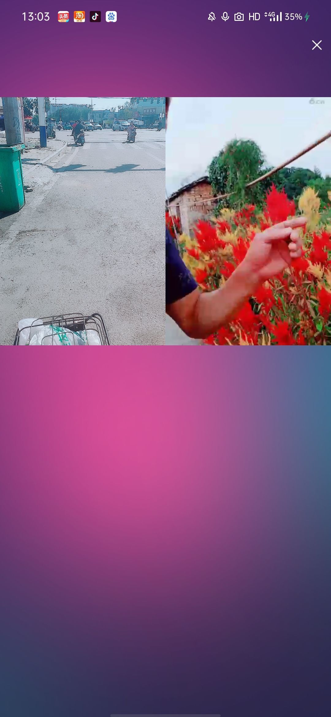 婷婷💕感恩有你陪伴的图片
