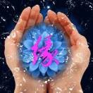 承诺8v