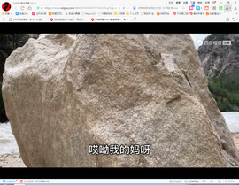 保利哥主播照片