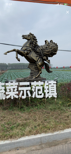 八戒祝大家新年快乐主播照片