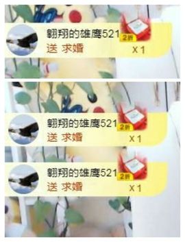 金麒麟安静唱歌🎤主播照片