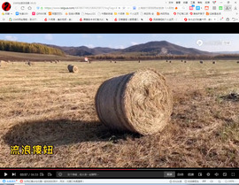 保利哥主播照片