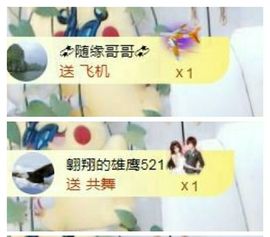 金麒麟安静唱歌🎤主播照片