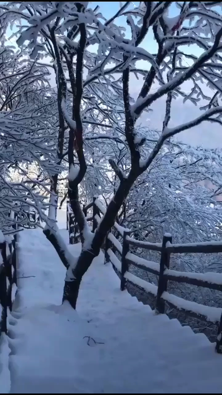 你的家乡下雪了吗？我