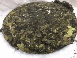 茶茶19号周年主播照片