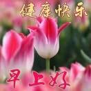 勇哥en*