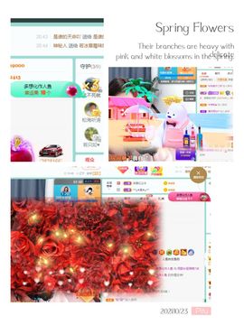 阳阳💕晚上见主播照片
