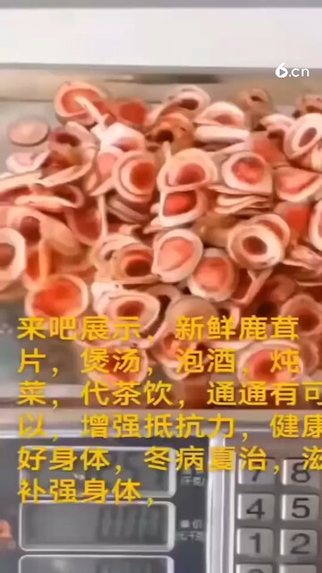 鲜鹿茸片，一代50克