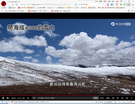 保利哥主播照片