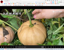保利哥主播照片