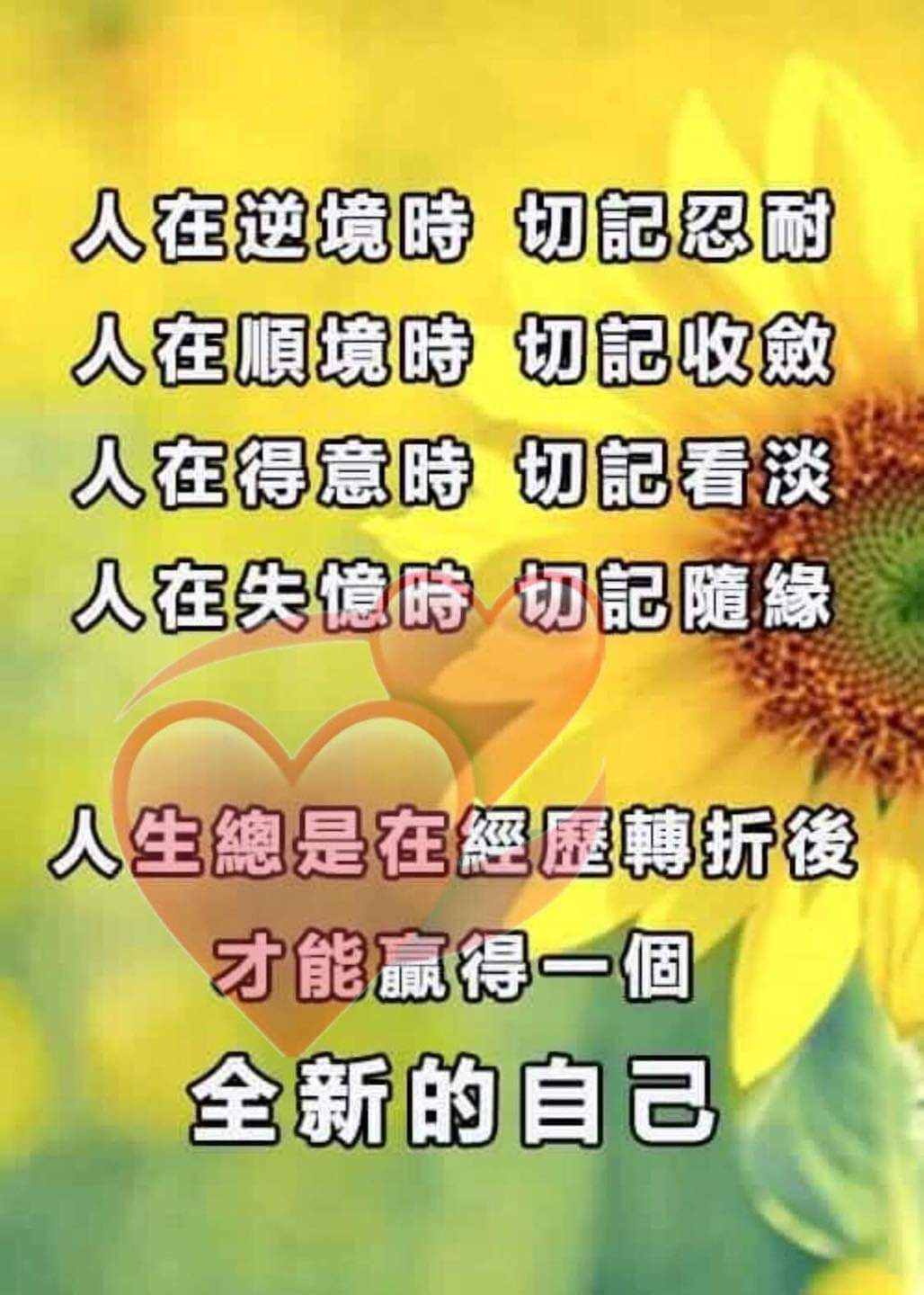 @一江東去@照片的图片