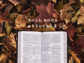 დ释怀დ主播照片