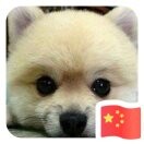 嵘f3t