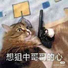 一树梨花压海唐同学☞主播照片