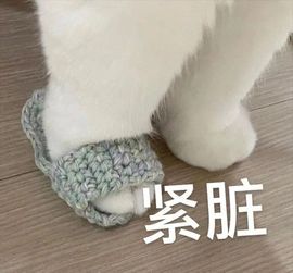 阳阳💕晚上见主播照片