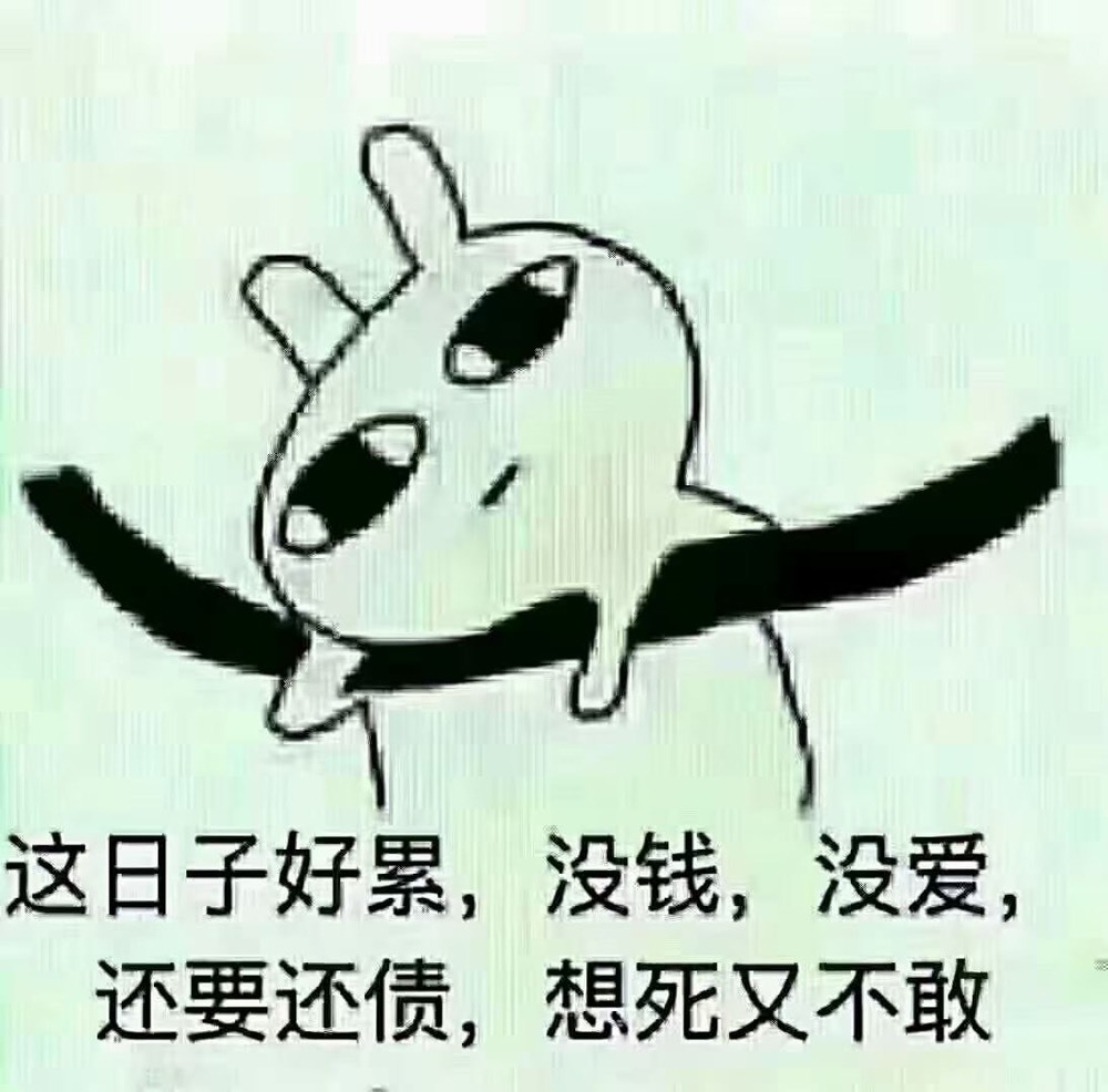 2肥。的主播照片