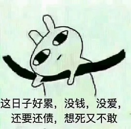 2肥。主播照片