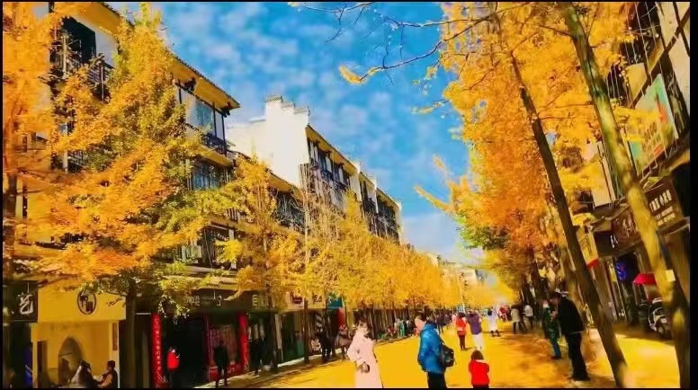 糖宝宝缺爱吖的主播照片