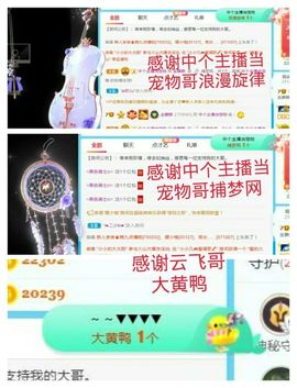 金麒麟安静唱歌🎤主播照片