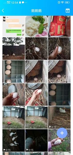 果果(平安好运)主播照片