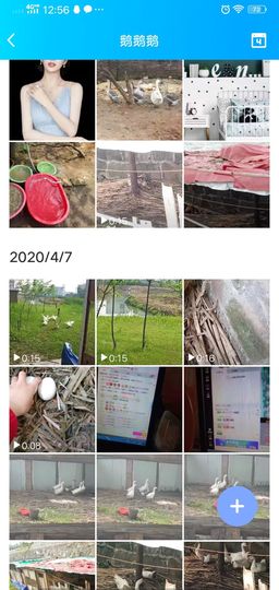 果果(平安好运)主播照片