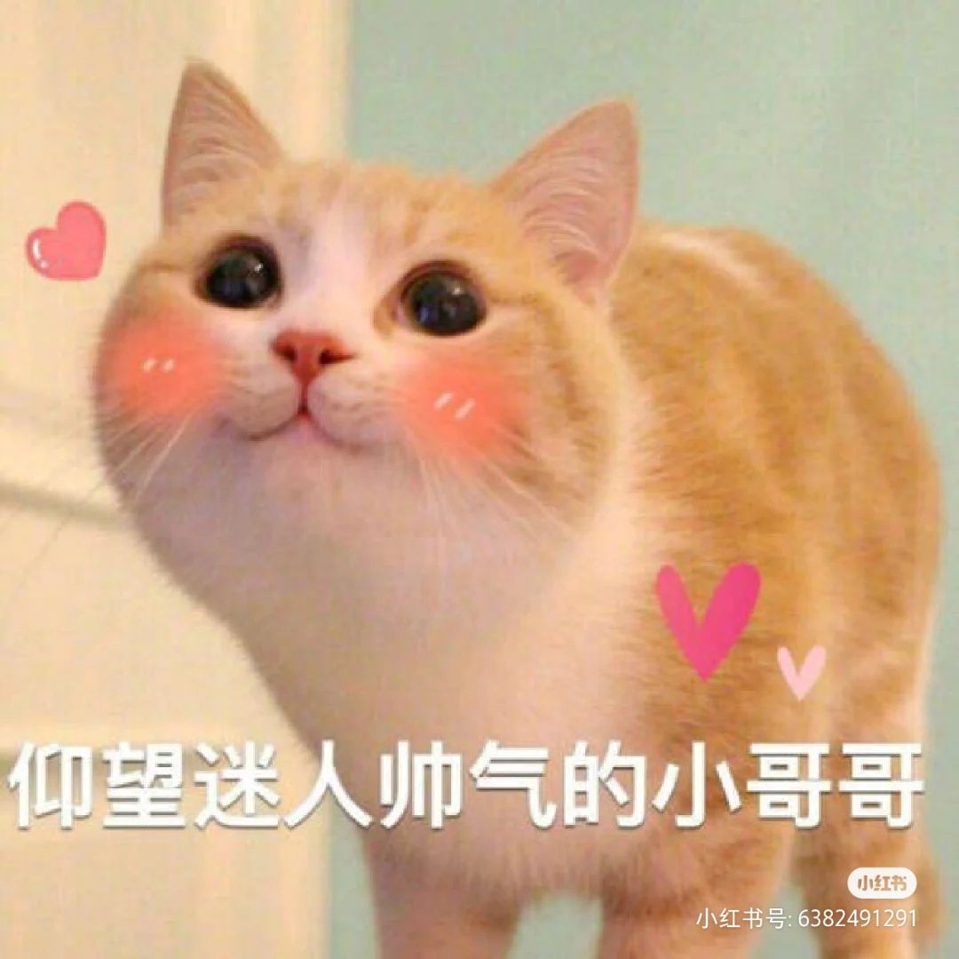 一树梨花压海唐同学☞的图片