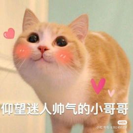 一树梨花压海唐同学☞主播照片