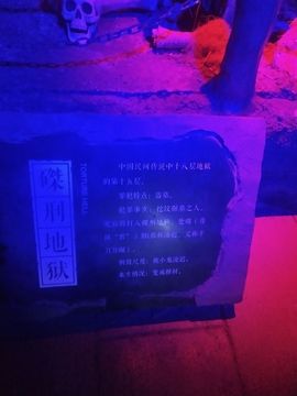 送朵花插坟头上主播照片