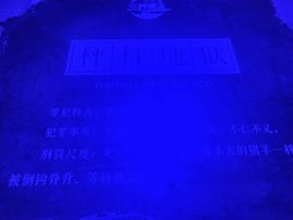 送朵花插坟头上主播照片