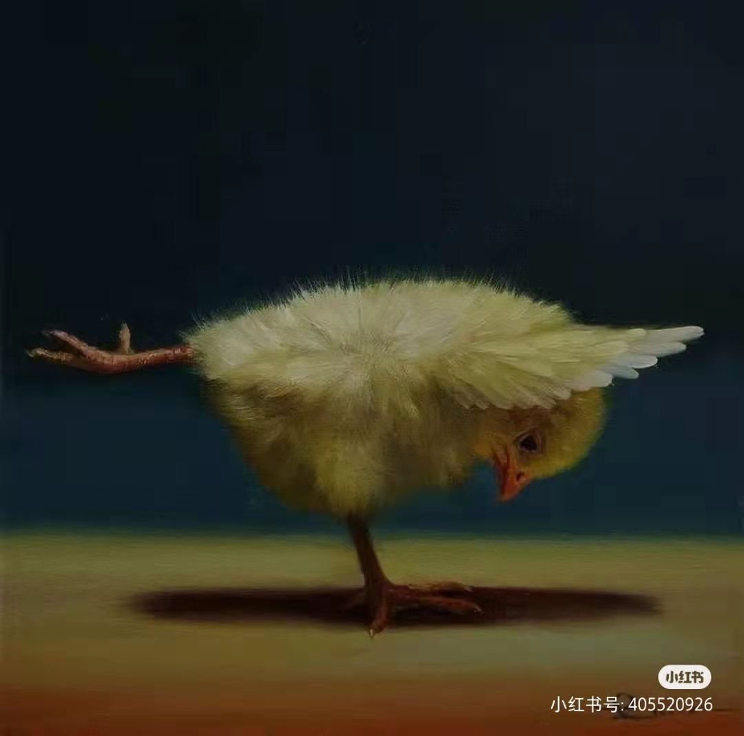 丑小鸭💞愿有一束光的图片
