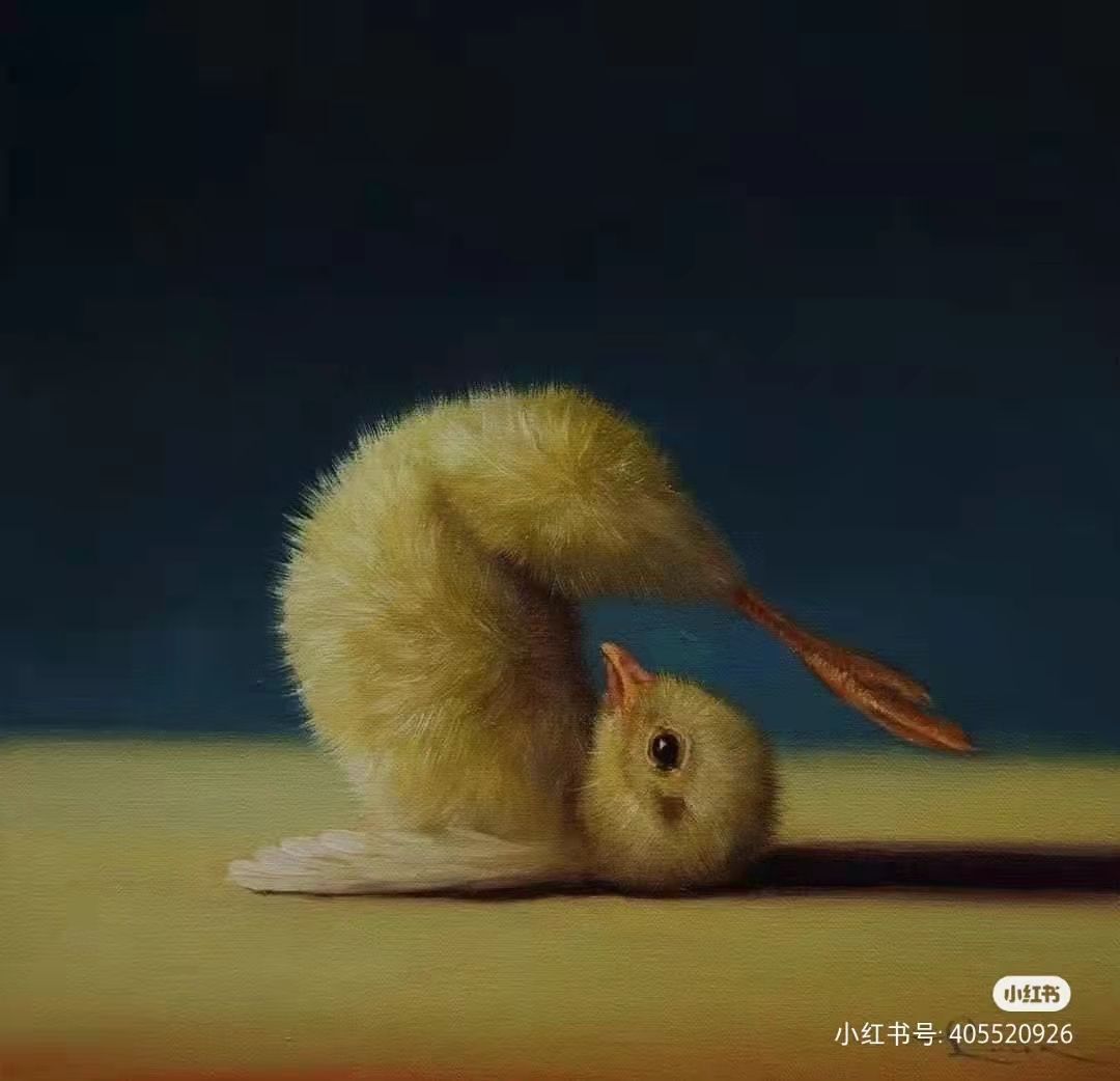 丑小鸭💞愿有一束光的图片