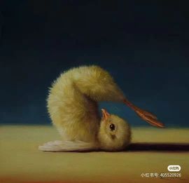 鸭鸭宝我耐你哈哈哈的图片