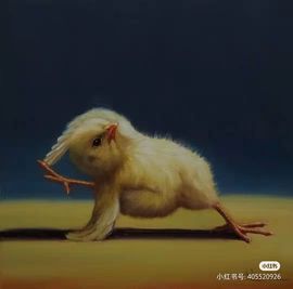 鸭鸭宝我耐你哈哈哈的图片