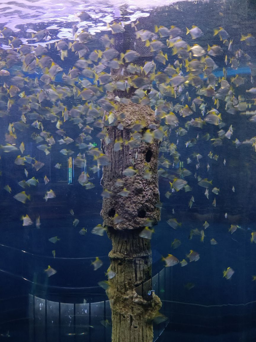 萝卜青菜eo的主播照片