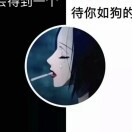 8023辰玉