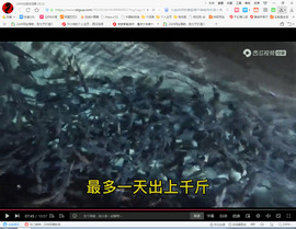 保利哥主播照片