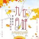 坦白fp