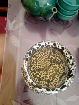 活宝黑妮主播照片