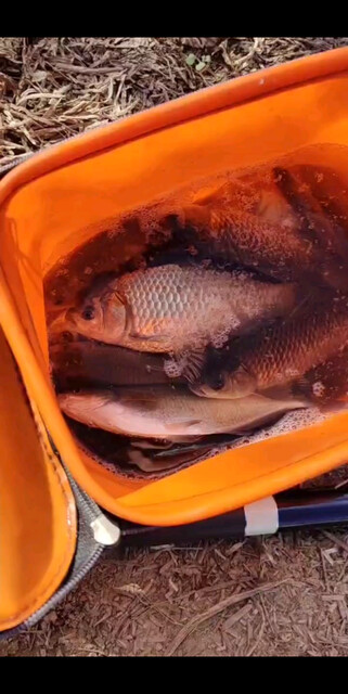 钓鱼我是认真的
