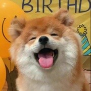 椿椿丫的头像