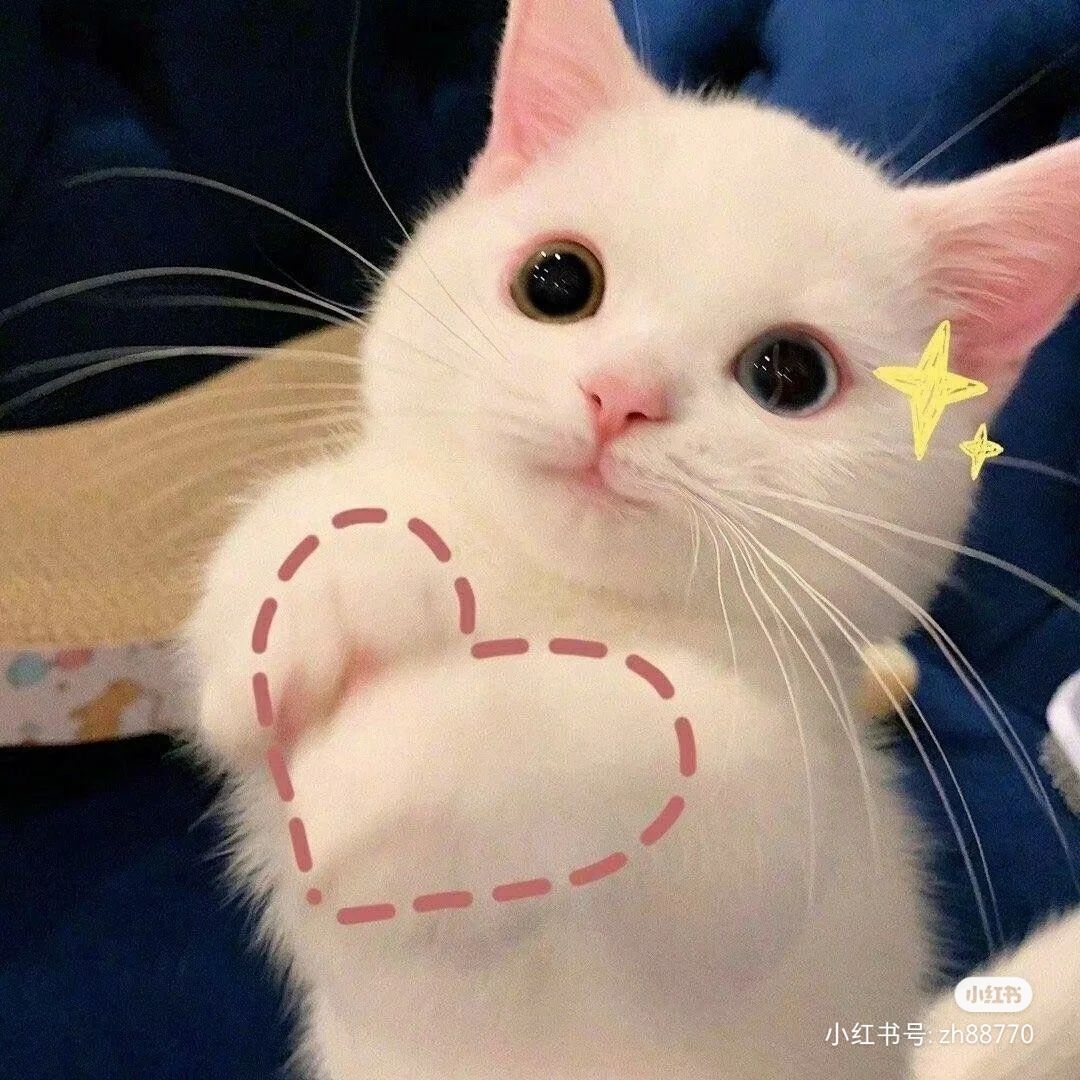 一树梨花压海唐同学☞的图片