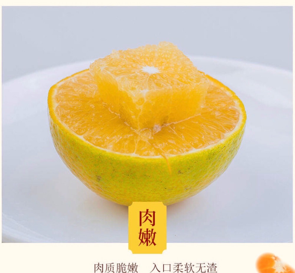 🍊小布布的图片